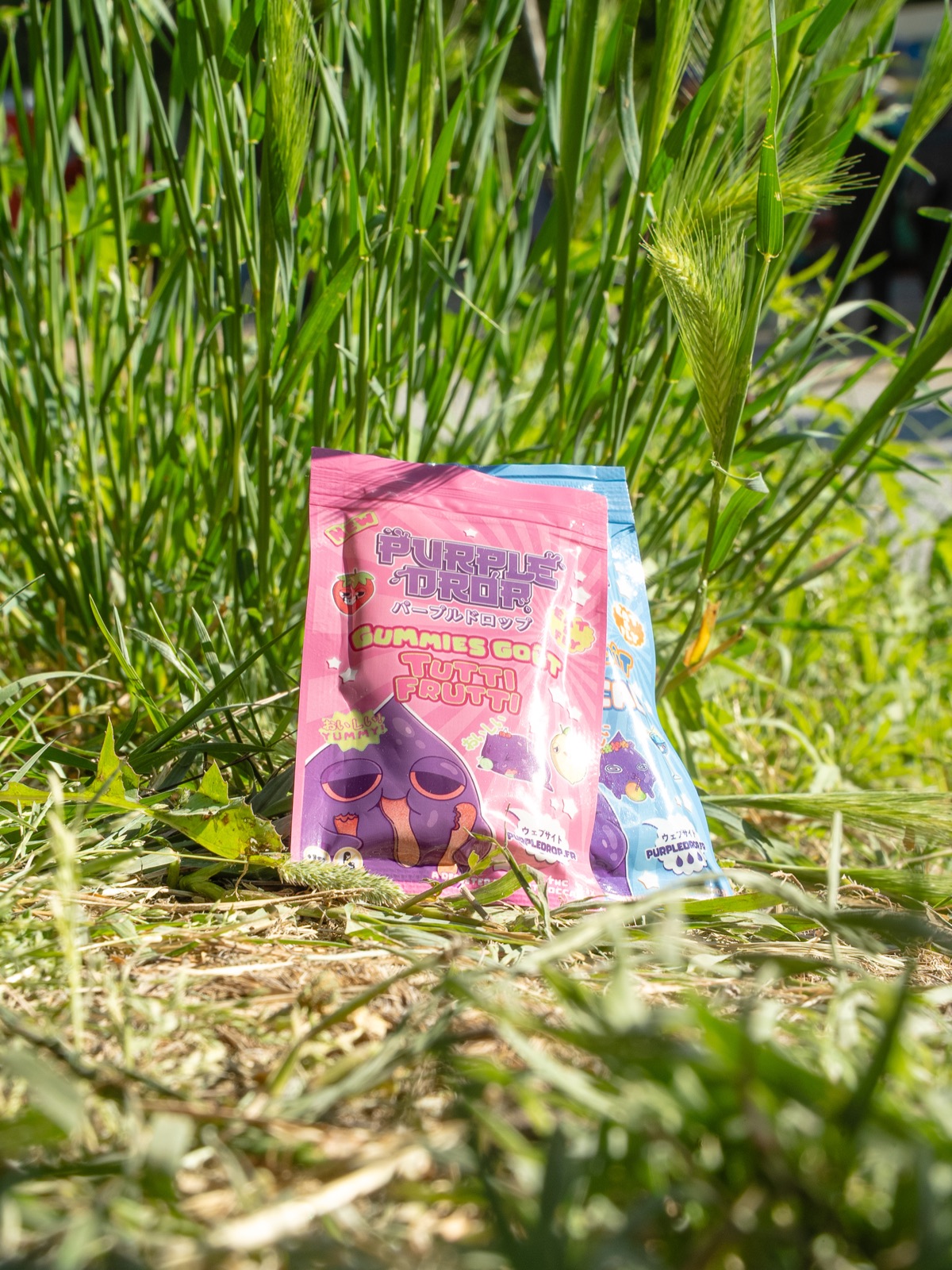 Pochon Tutti dans l'herbe haute.